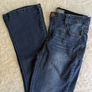 wit & wisdom jeans